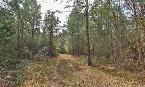 495 Pinecrest Dr, Point Blank, TX 77364 photo 23