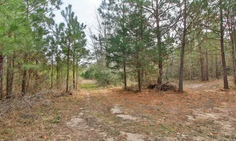 495 Pinecrest Dr, Point Blank, TX 77364 photo 19