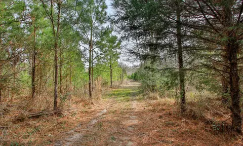 495 Pinecrest Dr, Point Blank, TX 77364 photo 25