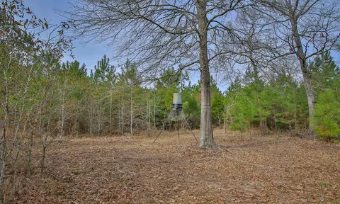 495 Pinecrest Dr, Point Blank, TX 77364 photo 20