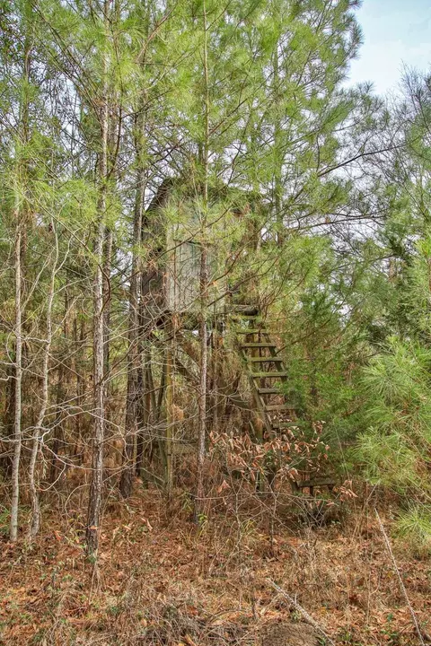 495 Pinecrest Dr, Point Blank, TX 77364 photo 24