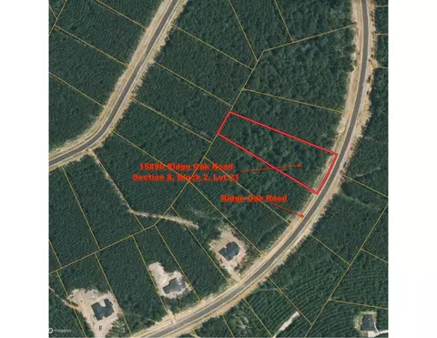 15890 Ridge Oak Rd, Willis, TX 77378 photo 9
