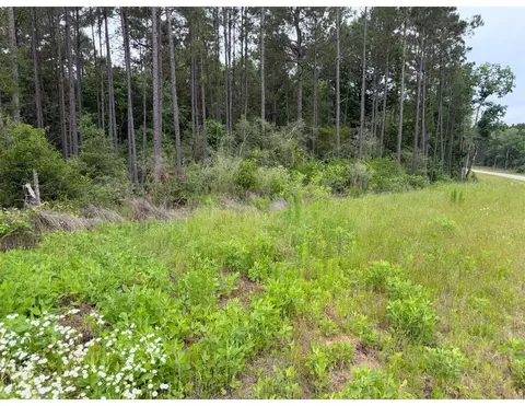 15890 Ridge Oak Rd, Willis, TX 77378 photo 3