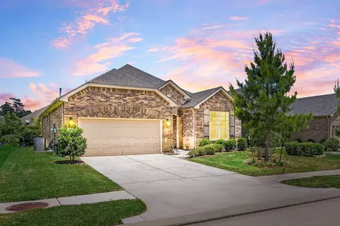 239 Spotted Saddle Ct, Spring, TX 77382 photo 1