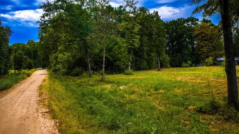 tbd Forest Dr, Livingston, TX 77351