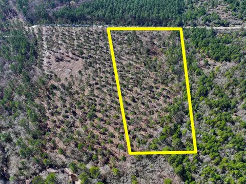 Other - 1 Boontown Rd, Trinity, TX 75845 photo 8 of 9