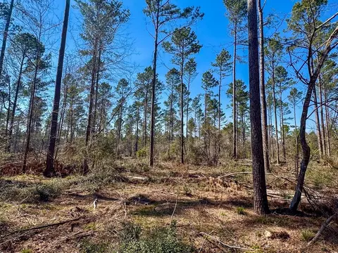 Other - 1 Boontown Rd, Trinity, TX 75845 photo 5 of 9