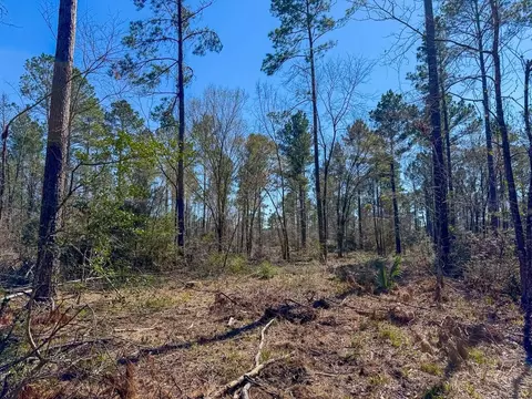 Other - 1 Boontown Rd, Trinity, TX 75845 photo 3 of 9