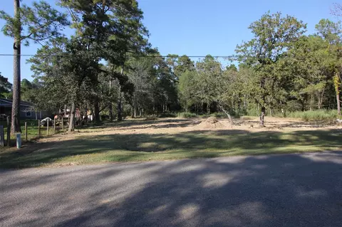 17910 Sea Turtle Ct, Magnolia, TX 77355