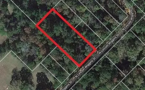 00 N Lincoln Wiggins St, Livingston, TX 77351
