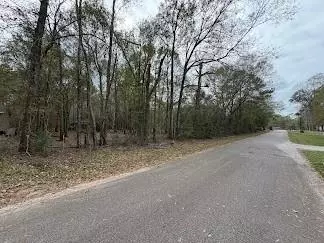24802 Marks Rd, Splendora, TX 77372 photo 7
