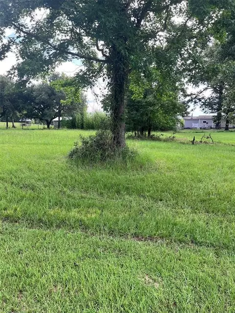 tbd Monticello St, Trinity, TX 75862 photo 4