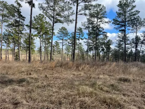 tbd 7 Red Lowe Rd, Livingston, TX 77351