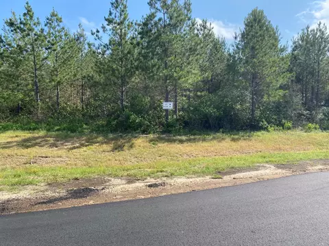 11873 Moss Grove Ct, Willis, TX 77378