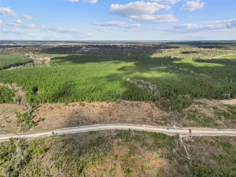 123 Lone Star Rdg, Lovelady, TX 77578