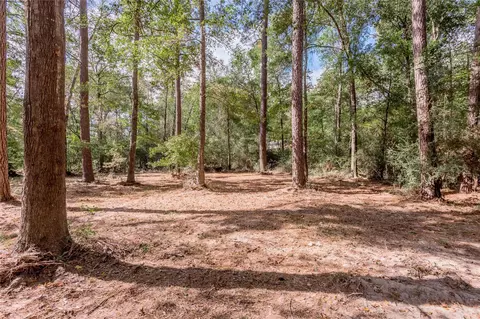 525 Canadian Dr, Trinity, TX 75862 photo 24
