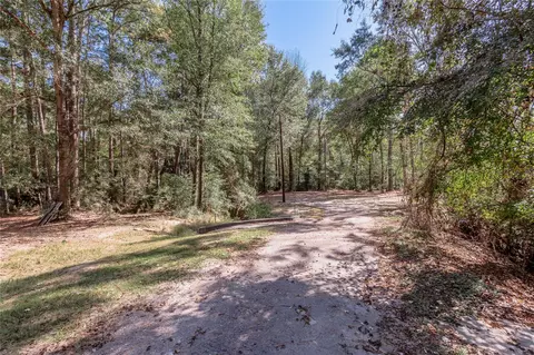 525 Canadian Dr, Trinity, TX 75862 photo 17