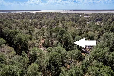 525 Canadian Dr, Trinity, TX 75862 photo 3