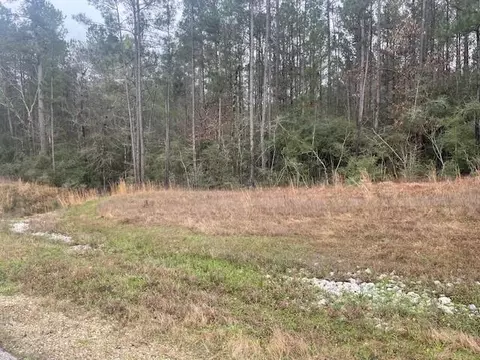155 Copperleaf Rd, Huntsville, TX 77340