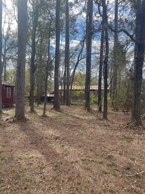 tbd Honeysuckle, Livingston, TX 77351