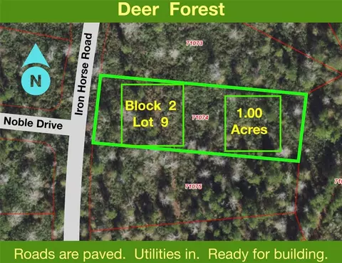 242 Iron Horse Rd, New Waverly, TX 77358