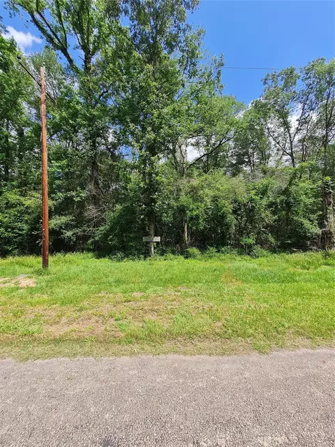 tbd Holly Ln, New Caney, TX 77537