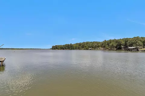 308 N Point Dr, Trinity, TX 75862 photo 11