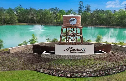 View/Area - 16106 Elbridge Ct, Conroe, TX 77302 photo 5 of 5