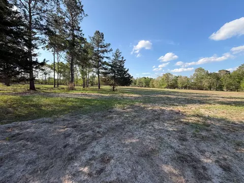 tbd N County Road 4050, Lovelady, TX 75851