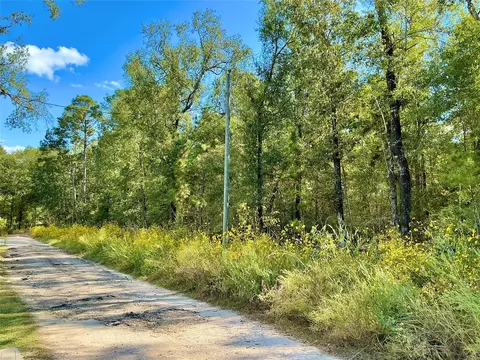 Tba Wendy Way, Livingston, TX 77351