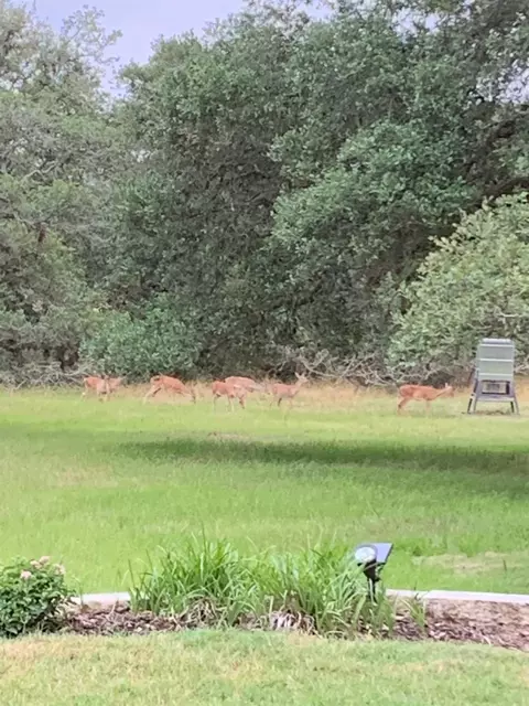 Other - 2003 Oakridge Rd, Weimar, TX 78962 photo 5 of 8