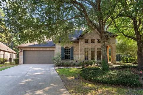 14 Mystic Pines Ct, The Woodlands, TX 77382
