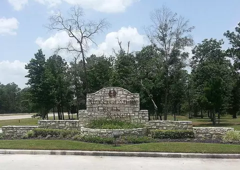 View/Area - 9951 Chimney Swift Ln, Conroe, TX 77385 photo 1 of 7
