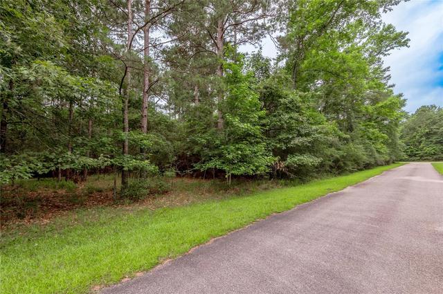 lot04 Sweetgum Dr, Trinity, TX 75862