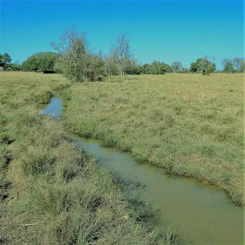 26266 Fields Store Rd, Waller, TX 77484 photo 32