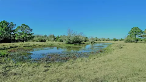 26266 Fields Store Rd, Waller, TX 77484 photo 30