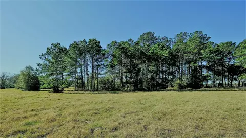 26266 Fields Store Rd, Waller, TX 77484 photo 10