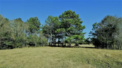 26266 Fields Store Rd, Waller, TX 77484 photo 11