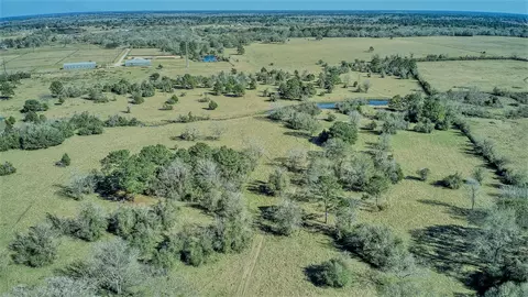 26266 Fields Store Rd, Waller, TX 77484 photo 22