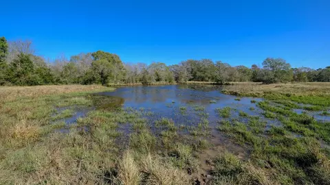 26266 Fields Store Rd, Waller, TX 77484 photo 29