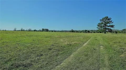 26266 Fields Store Rd, Waller, TX 77484 photo 37