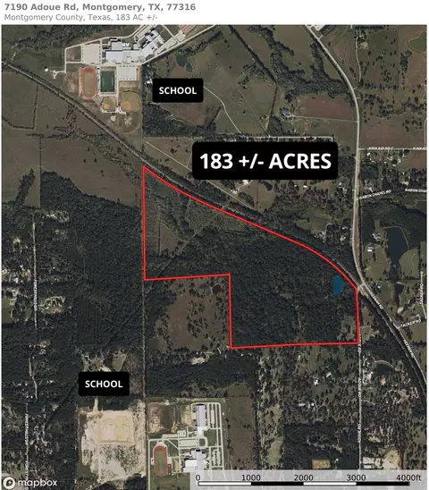 7190 Adoue Rd, Montgomery, TX 77316