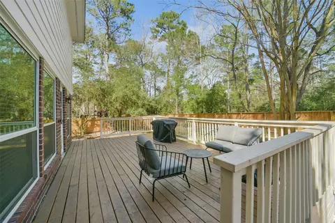 Exterior - 38 Tallow Hill Pl, Spring, TX 77382 photo 12 of 13