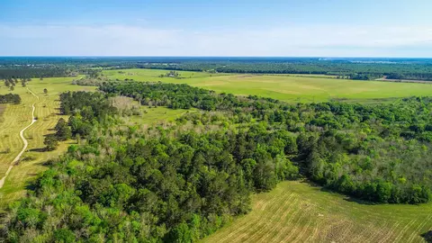 40902 Sh 105, Batson, TX 77519