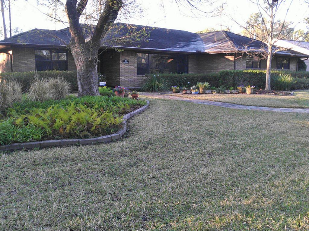 8401 Cedarbrake Dr, Houston, TX 77055 photo 1