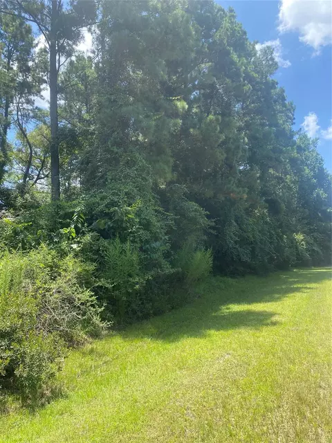 22922 Blackgum Dr, Magnolia, TX 77355