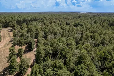 View/Area - Na Fm 355, Trinity, TX 75862 photo 9 of 9