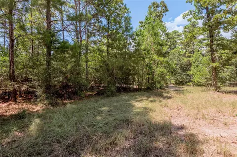Other - Na Fm 355, Trinity, TX 75862 photo 16 of 19