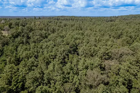 Other - Na Fm 355, Trinity, TX 75862 photo 9 of 19