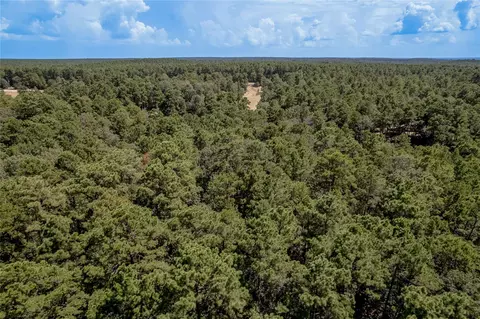 Other - Na Fm 355, Trinity, TX 75862 photo 8 of 19